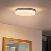 Prios Wynion LED-kattovalaisin CCT DIP-kytkin 30cm