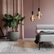 Calex Organic Evo LED-lamppu E27 6W dim titaani