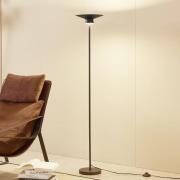 Lindby LED-lattiavalaisin Norvind, musta, metalli, 1-lamppuinen, 1-lam...