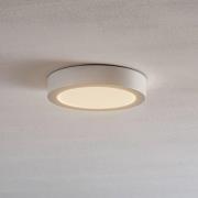 BRUMBERG Flat37 LED-kattopaneeli, pyöreä, Ø 18 cm