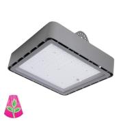 Kasvilamppu GoLeaf X1 S3 punainen-sininen fotosynteesi