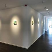 Egger DLS LED-kohdevalaisin Zooom XL, pinta-asennettava kotelo, 3000K ...