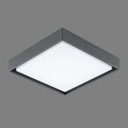 EVN LED ulkokattovalaisin Tectum, 24x24 cm, antrasiitti, 110°