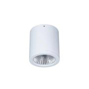 Pinta-asennettava LED-alasvalo Button Mini 100 IP54 55° 16 W 16 W