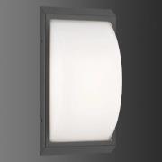 Ulkopuolinen seinävalaisin 053 ruostumattomasta teräksestä, grafiitti