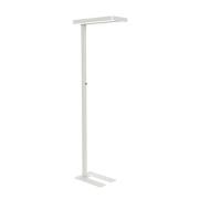 LED-lattiavalaisin MAULjaval, valkoinen, 196 cm, himmennettävä, jalust...