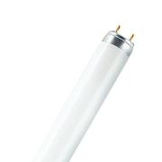 OSRAM loisteputki LUMILUX, G13 T8, 120 cm 2700 K 36 W
