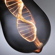 Paulmann LED-lamppu E27 3.5W Helix 1800K ST64 savu