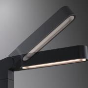 Paulmann Plug & Shine LED Ito projektori, pystysuora, IP65