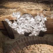 Slamp Hanami Ceiling/Wall kattovalaisin, prisma