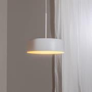 BEGA LED-riippuvalaisin Studio Line, Ø 36 cm, valkokultainen, DALI