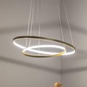 HOOP LED-riippuvalaisin, 51 W, Ø 60 cm, 4 000 K, kultainen