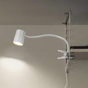 OSRAM klipsivalaisin Office Line Desk Trapezium Clip valkoinen GU10