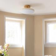 UMAGE LED-kattovalaisin Asteria UP PLUS, helmenvalkoinen, Ø 31 cm CCT