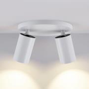 CAN TILT kattospotti, valkoinen, Ø 20 cm, 2-lamppuinen, metalli, GU10