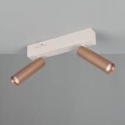 LED-kattokohdevalo Ambala, pituus 26 cm, harmaa/ruskea, 2-lamppuinen.