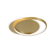 LED-kattovalaisin Evelyn, kultainen, pituus 55 cm, metalli