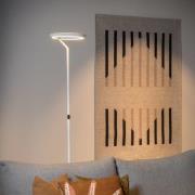 LED-lattiavalo Celeste, valkoinen, korkeus 174 cm, metalli