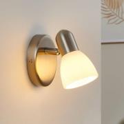 Edustava Dake-seinäspotti