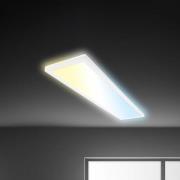 LED-paneeli Tava CCT, valkoinen, 98 x 20 cm, taustavalo, muovi