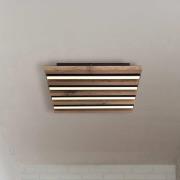 LED-kattovalaisin Hayden, pituus 30 cm, musta/tumma puu