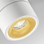 Egger DLS LED-kattospotti Clippo S Duo, 2-valo, valkokultainen, valkok...