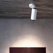 LED-kattokohdevalo Lucea, säädettävä, 20 W valkoinen