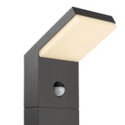 LED-pylväsvalaisin Tucanae, harmaa Korkeus 100 cm IP54 metallia