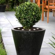 LED-maavalo Spinetoli 2, 6 kpl:n sarja maapiikillä varustettuna