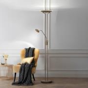 LED-lattiavalo Tallri, greige, korkeus 180 cm, 2-lamppuinen, CCT Touch...