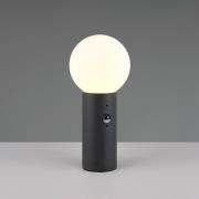 Pollarilamppu Mures, antrasiitti, korkeus 40 cm, metalli, anturi