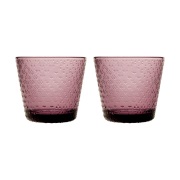 Iittala Tundra juomalasi 29 cl 2-pakkaus Kanerva