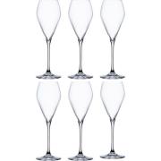 Spiegelau Special Glasses samppanjalasi 23 cl 6-pakkaus