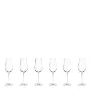 Georg Jensen - Sky Champagne Flute Lasi 25 cl 6 kpl