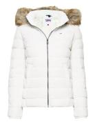 Tjw Basic Hooded Down Jacket Vuorillinen Takki Topattu Takki White Tom...