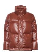 D1. Cropped Down Jacket Vuorillinen Takki Topattu Takki Brown GANT