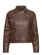 Kaley Leather Biker Nahkatakki Brown Jofama