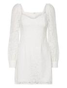 Atreena Lace Mini Dress Lyhyt Mekko White French Connection