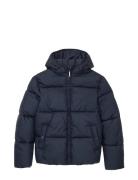 Puffer Jacket Toppatakki Navy Tom Tailor