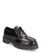 Aligrey Low Lace Shoe Loaferit Matalat Kengät Black GANT