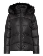 Essential Real Down Jacket Vuorillinen Takki Topattu Takki Black Calvi...