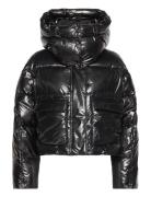 High Shine Puffer Vuorillinen Takki Topattu Takki Black Calvin Klein J...