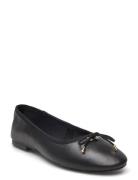 Blossoms Ballerina Ballerinat Black Steve Madden