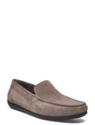 U Ascanio B Loaferit Matalat Kengät Grey GEOX