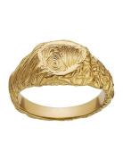 Gigi Ring Sormus Korut Gold Maanesten