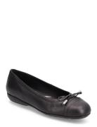 D Annytah D Ballerinat Black GEOX