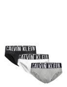 Hip Brief 3Pk Y-sepalus Briefs Alushousut Grey Calvin Klein