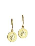 Signature Earring - Gold Korvakoru Korut Gold Julie Sandlau