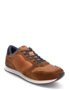 Edmond Matalavartiset Sneakerit Tennarit Brown Lloyd