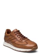 Adlay Matalavartiset Sneakerit Tennarit Brown Lloyd